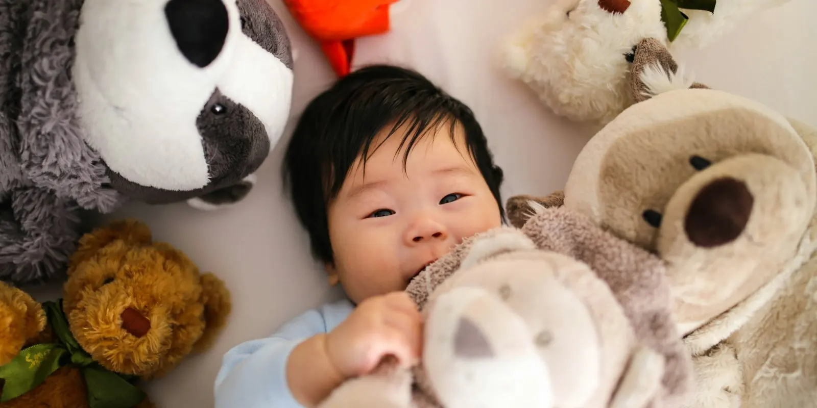 Bébé allongé au milieu de ses doudous